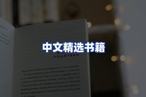 中文精选书籍